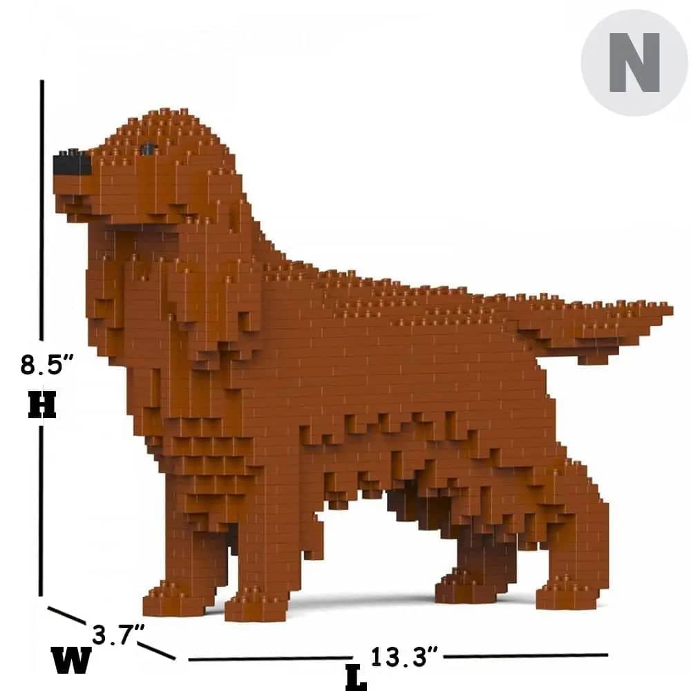 Irish Setter