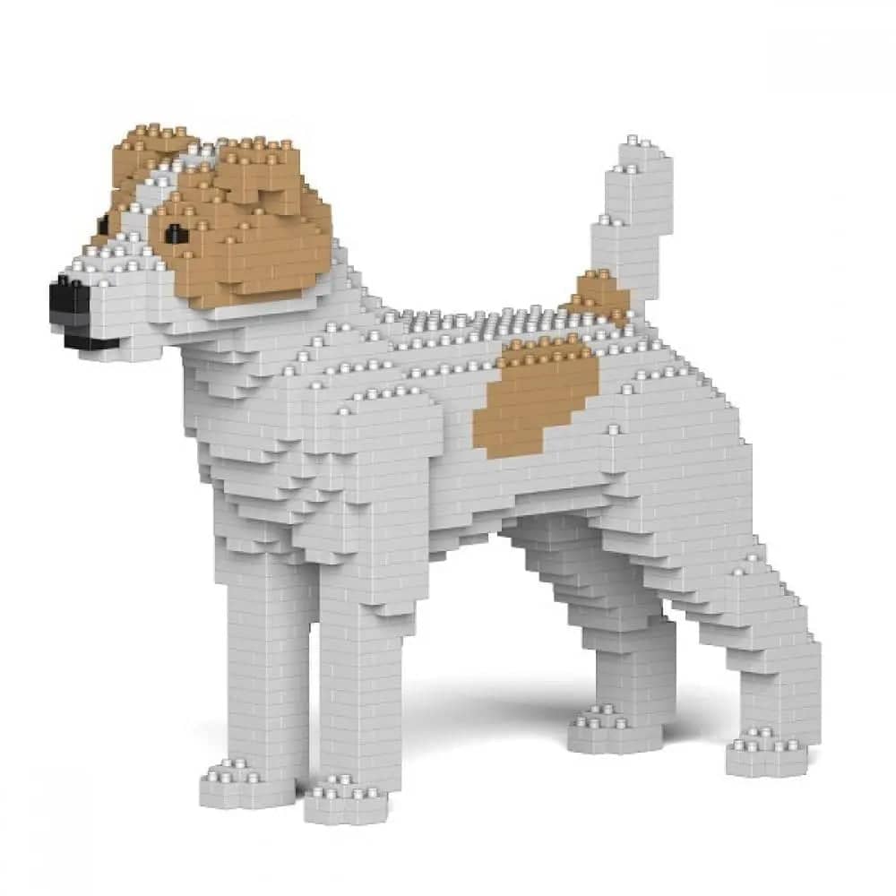 Jack Russell Terrier (SALE)