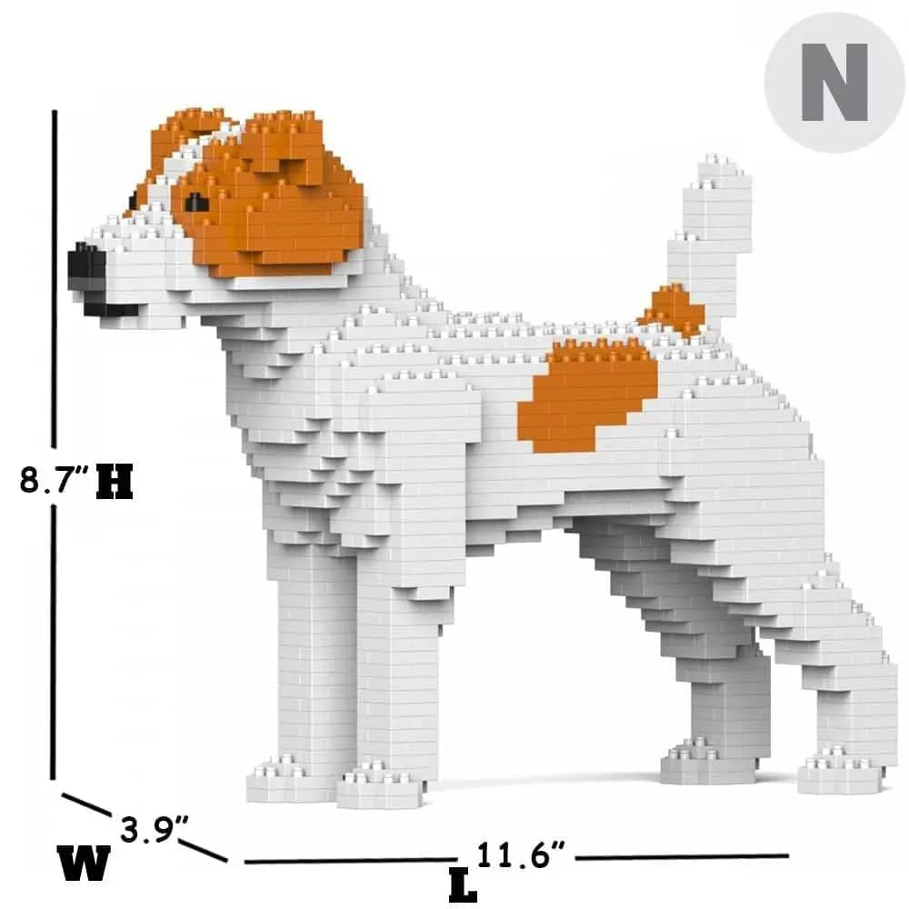 Jack Russell Terrier (SALE)