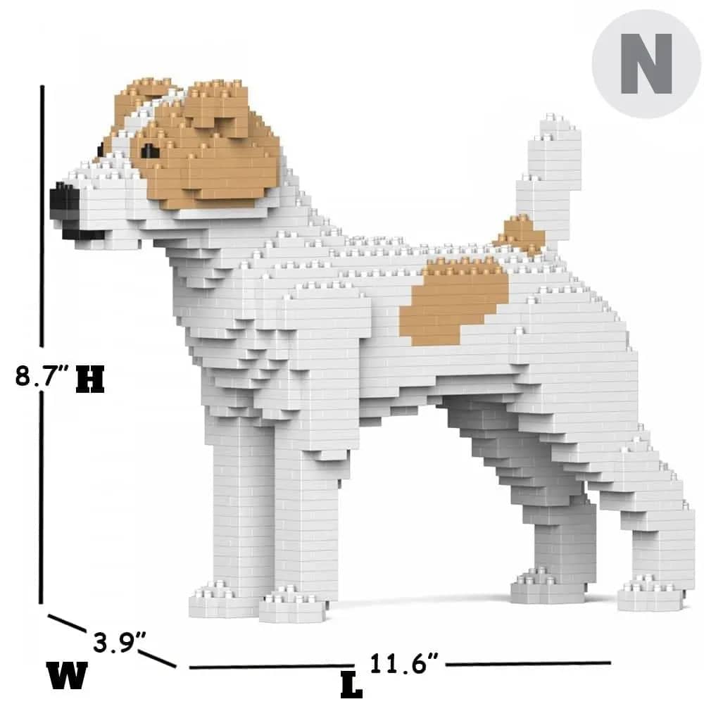Jack Russell Terrier (SALE)