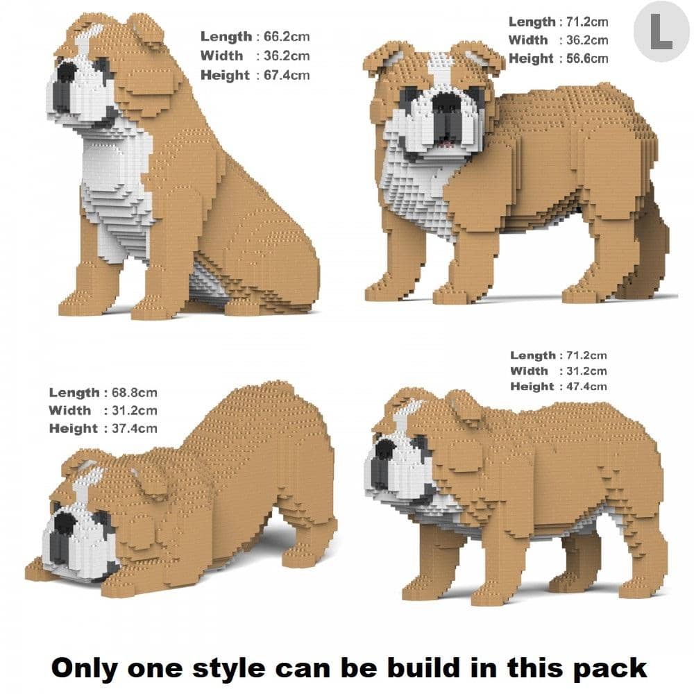 English Bulldog