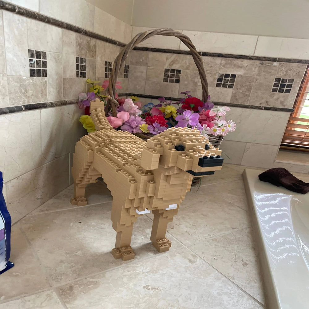 Labrador Retriever (SALE)