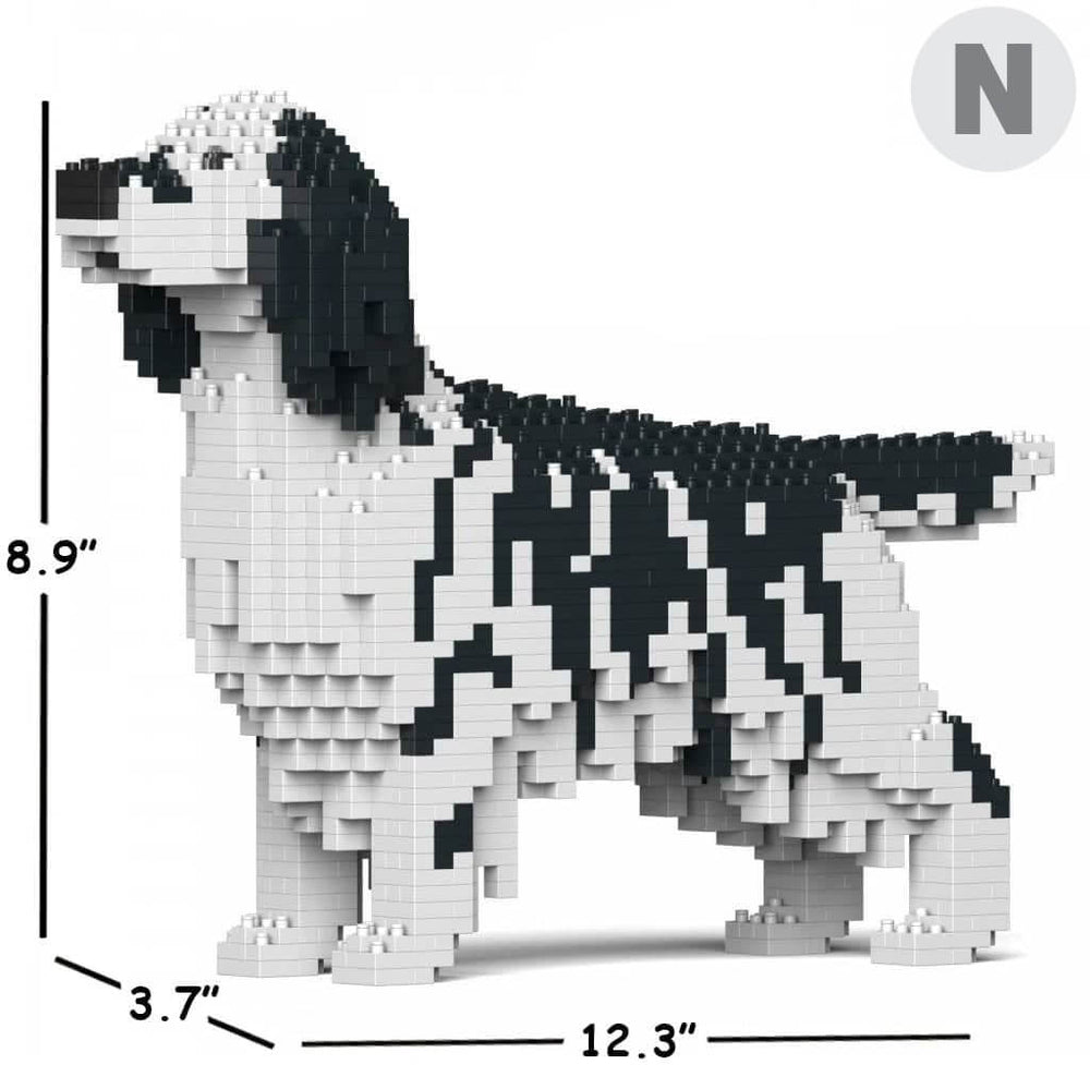 English Setter