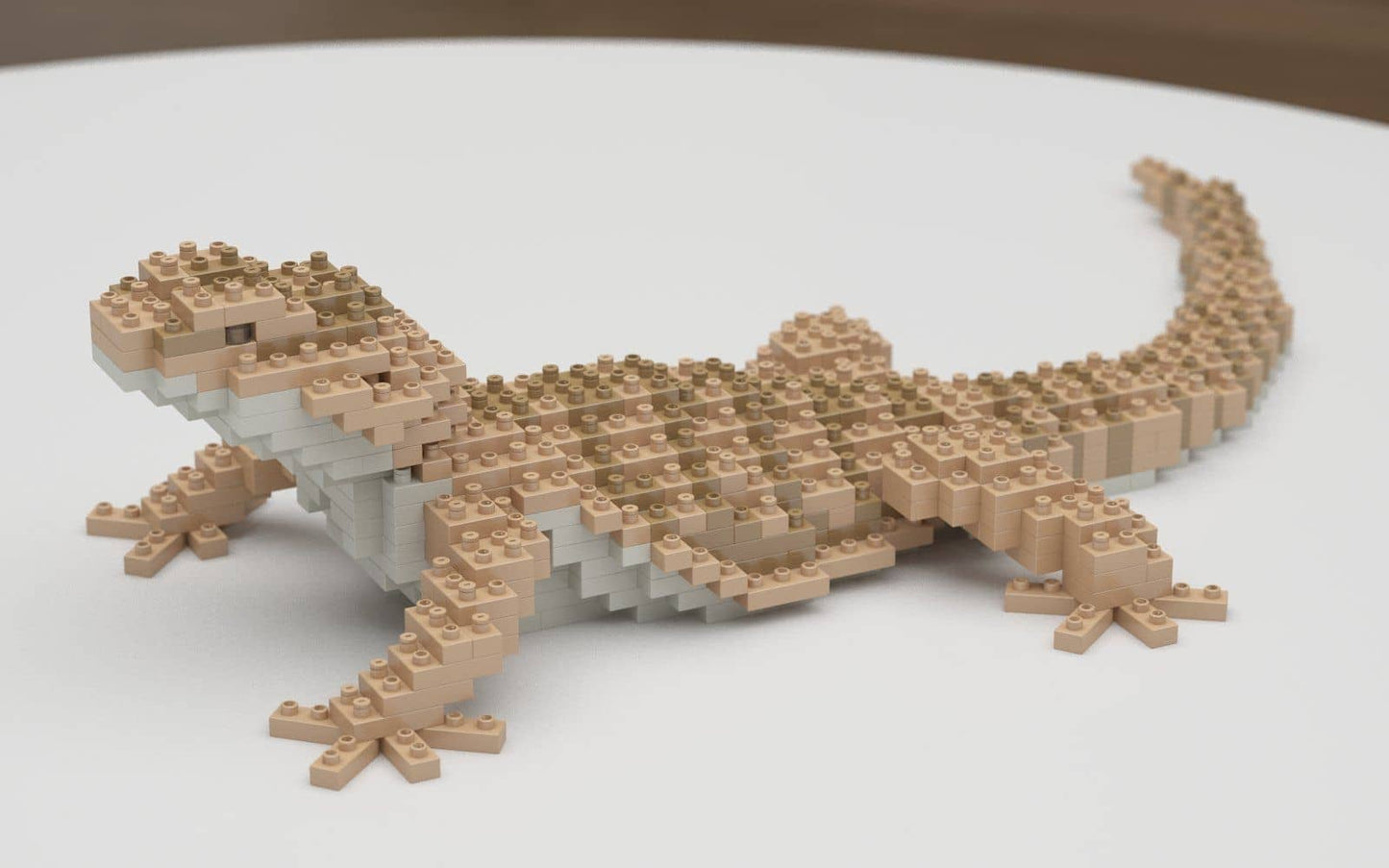 Bearded Dragon