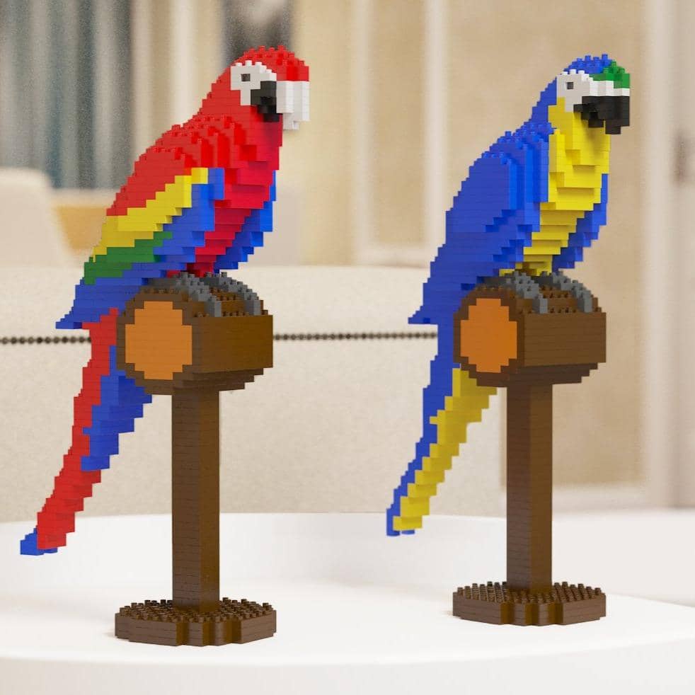 Macaw