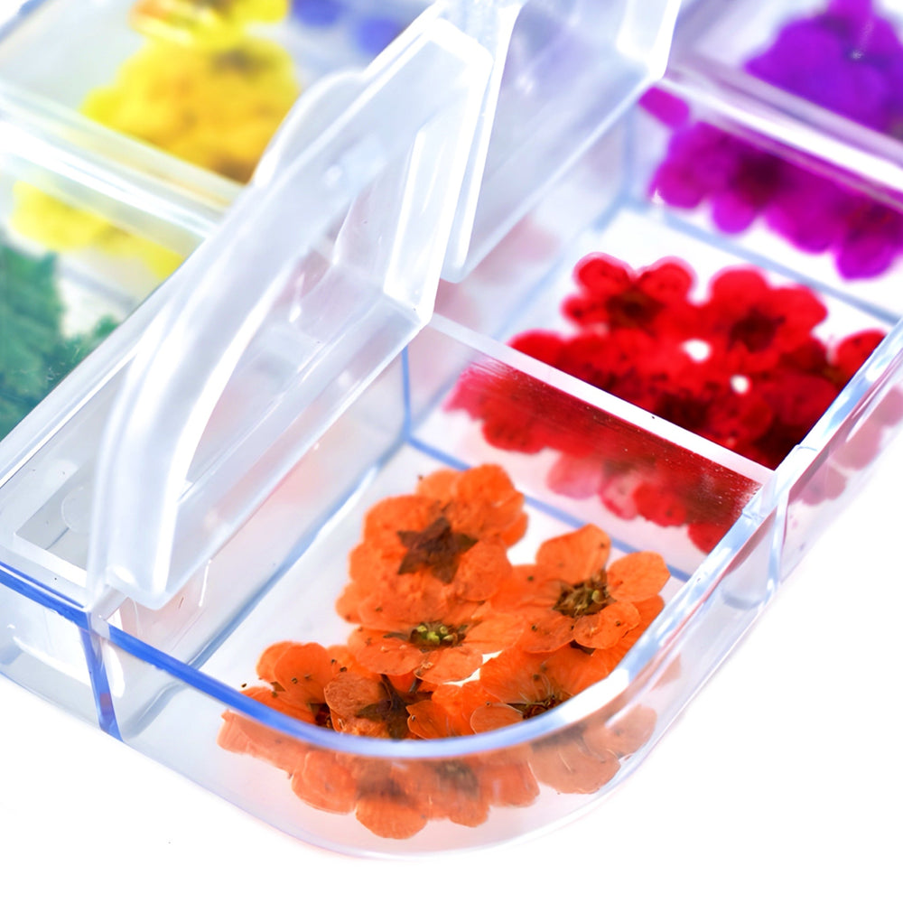 Dried Flowers Variety Pack - 144pcs