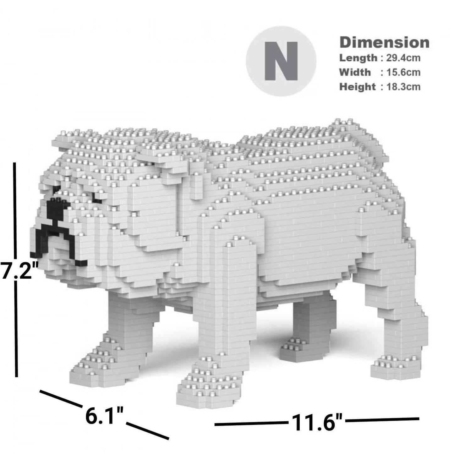 English Bulldog