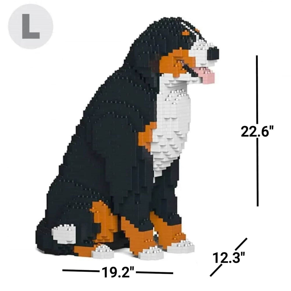 Bernese Mountain Dog