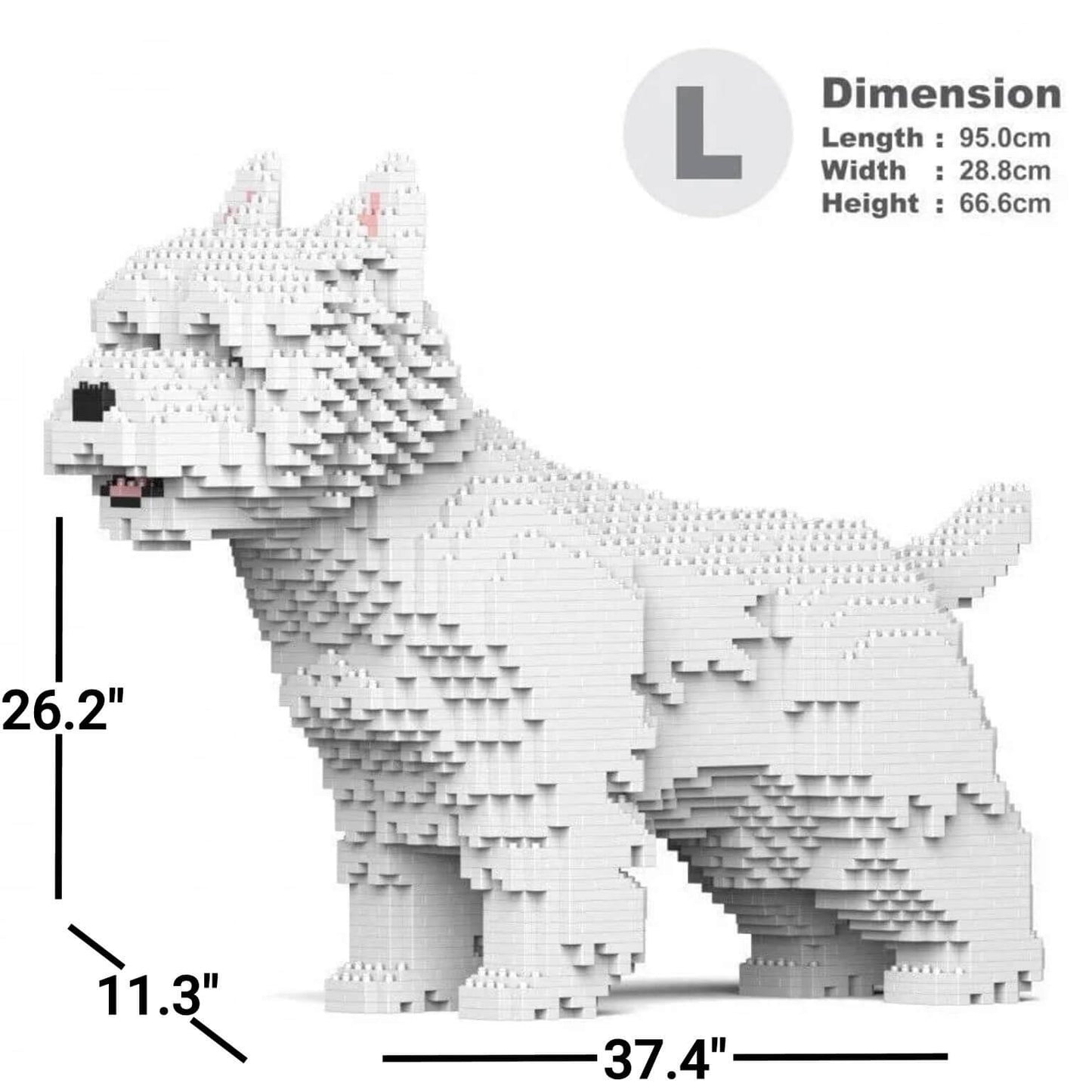 West Highland White Terrier