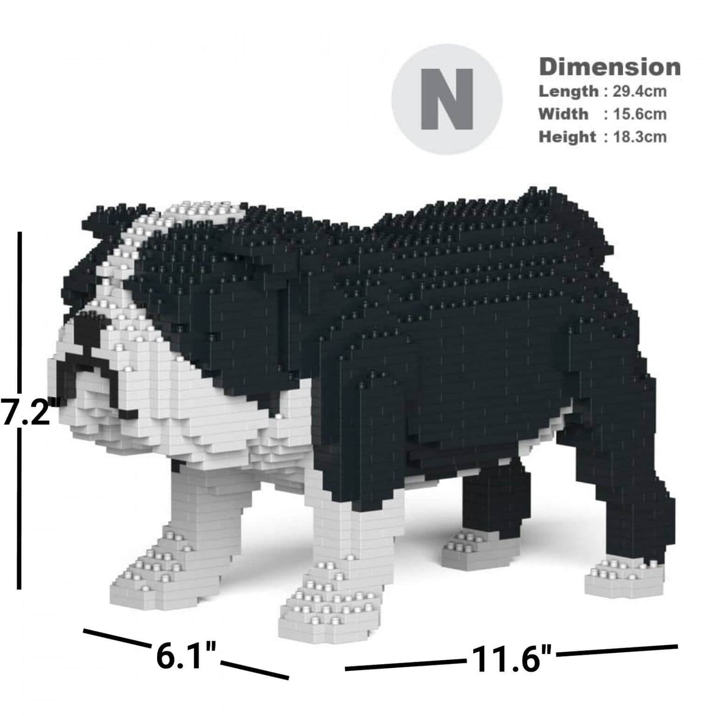 English Bulldog