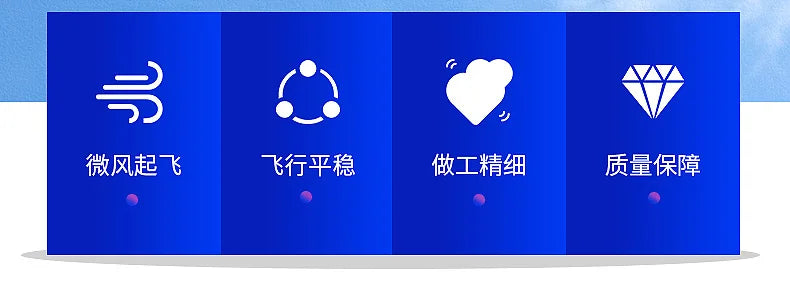 description6