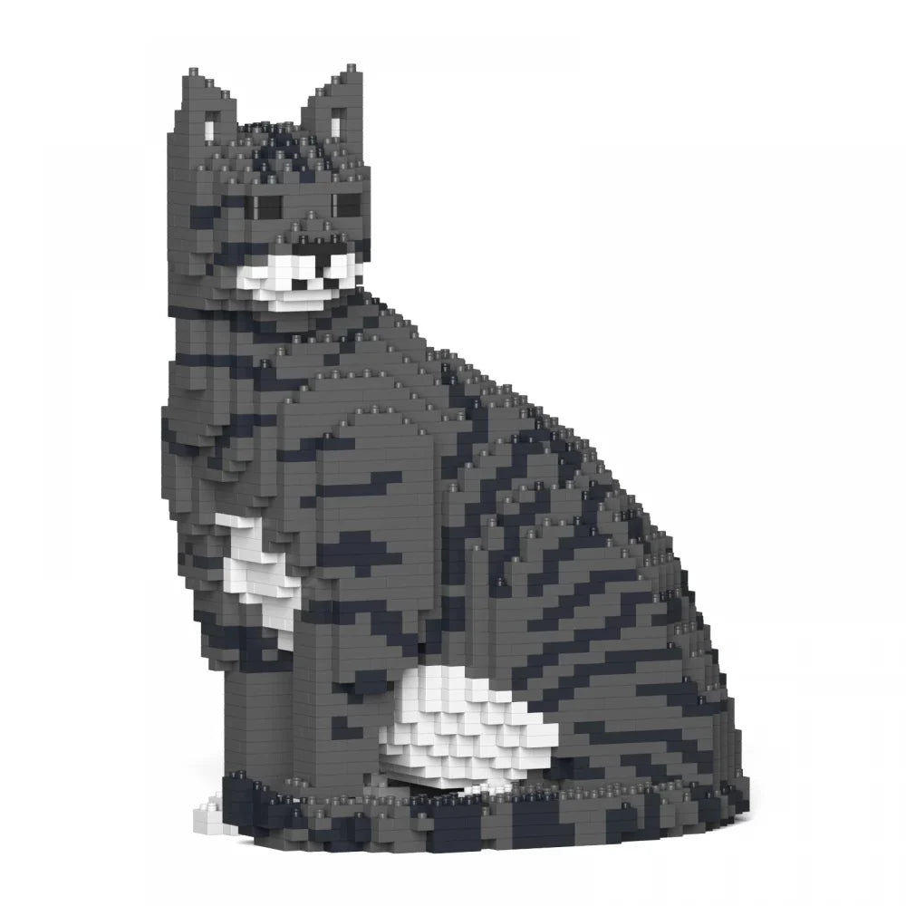 Tabby Cat