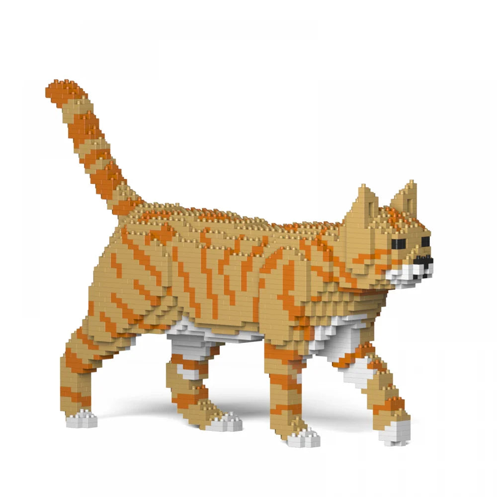 Tabby Cat