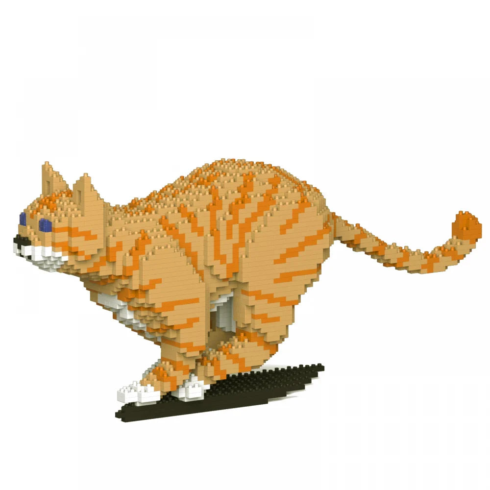 Tabby Cat