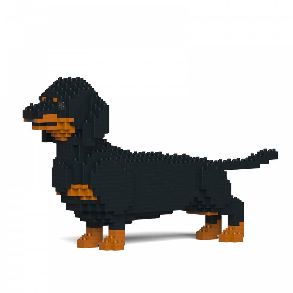 Dachshund (SALE)