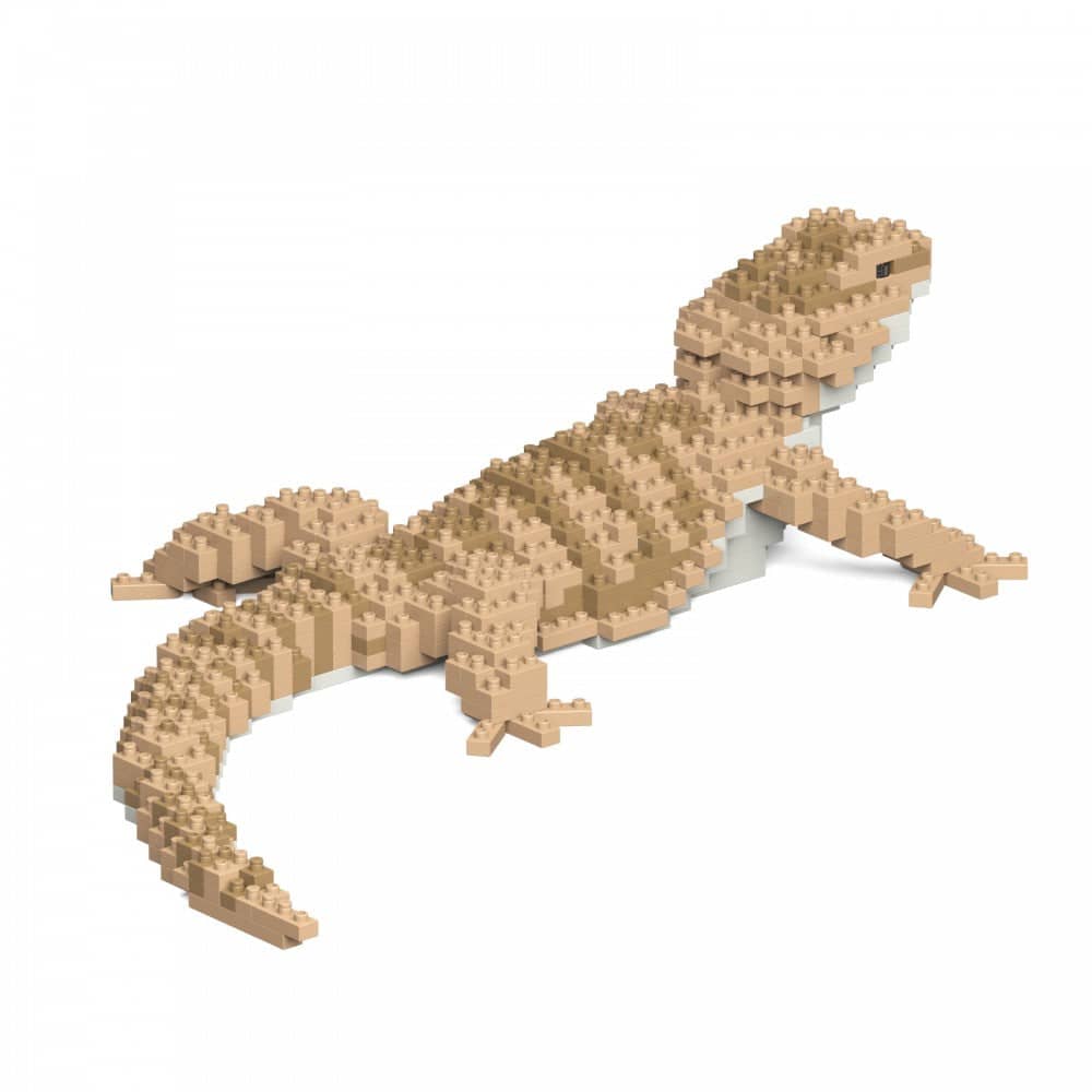 Bearded Dragon