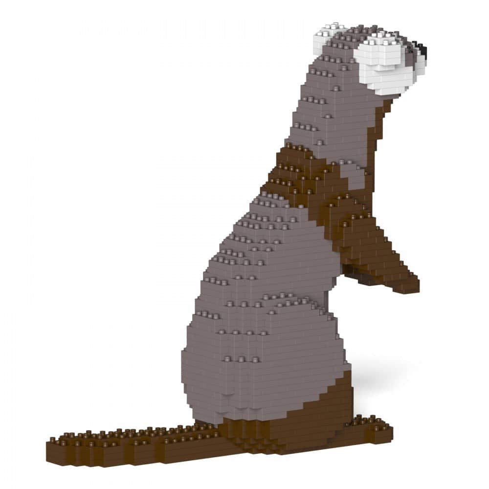 Ferret