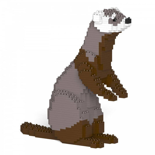 Ferret