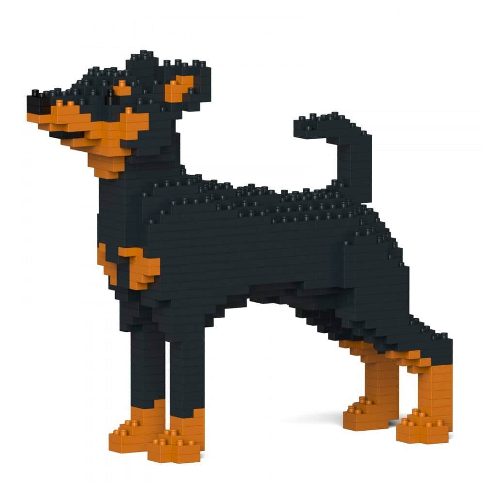 Miniature Pinscher