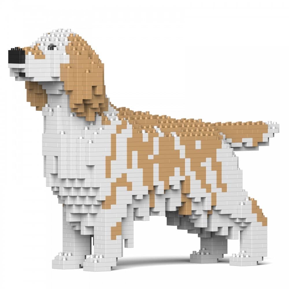 English Setter