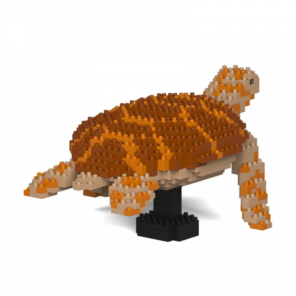 Sea Turtle
