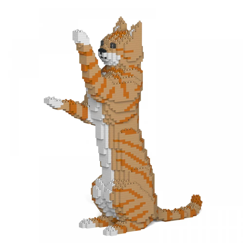 Tabby Cat