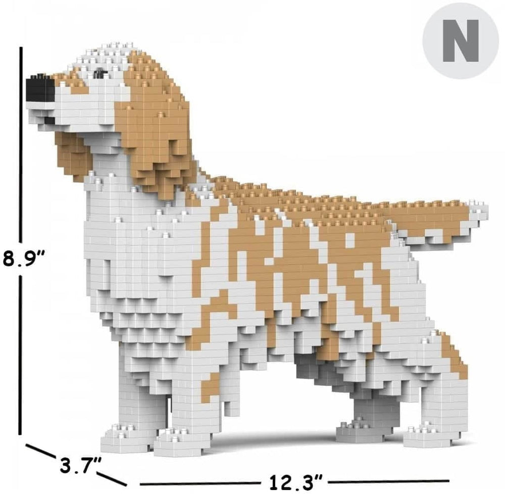 English Setter