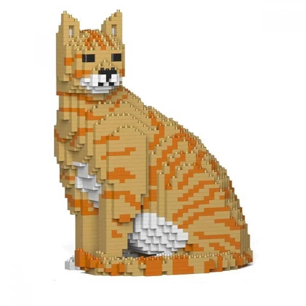 Tabby Cat
