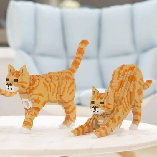 Tabby Cat