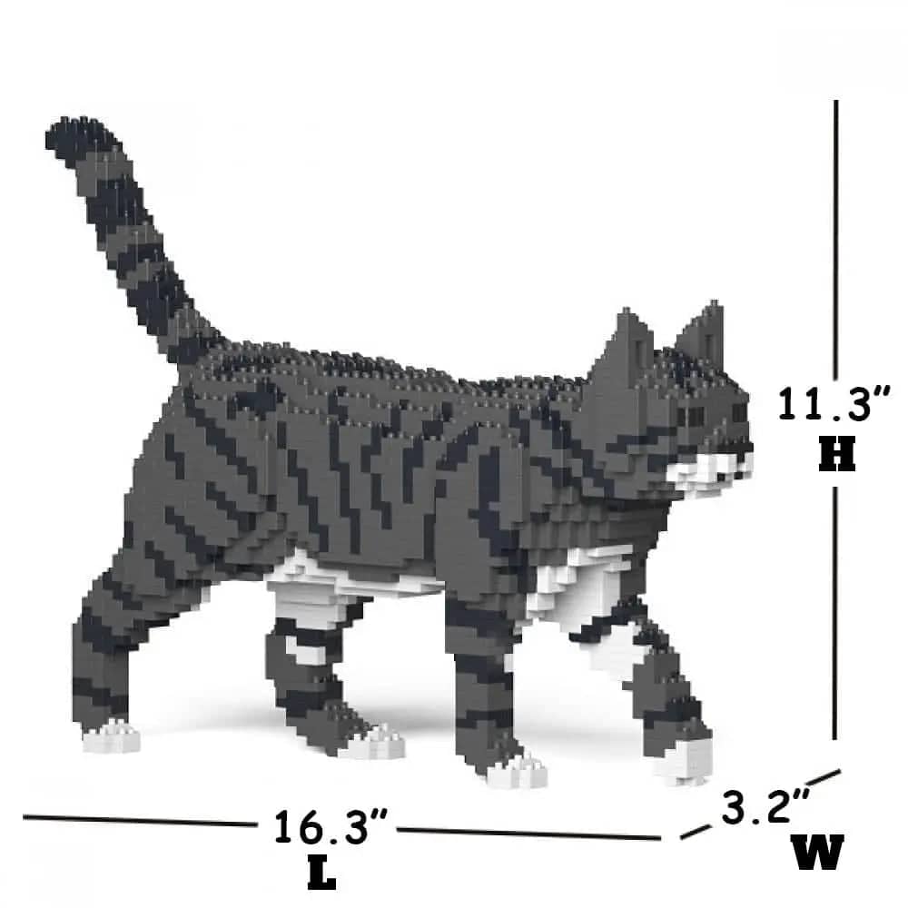 Tabby Cat
