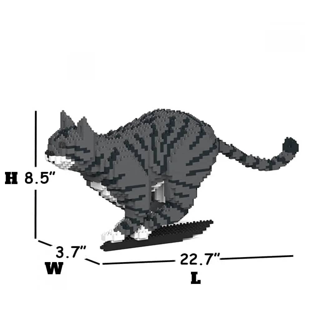 Tabby Cat