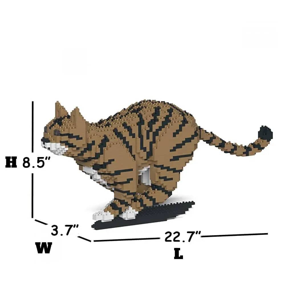 Tabby Cat