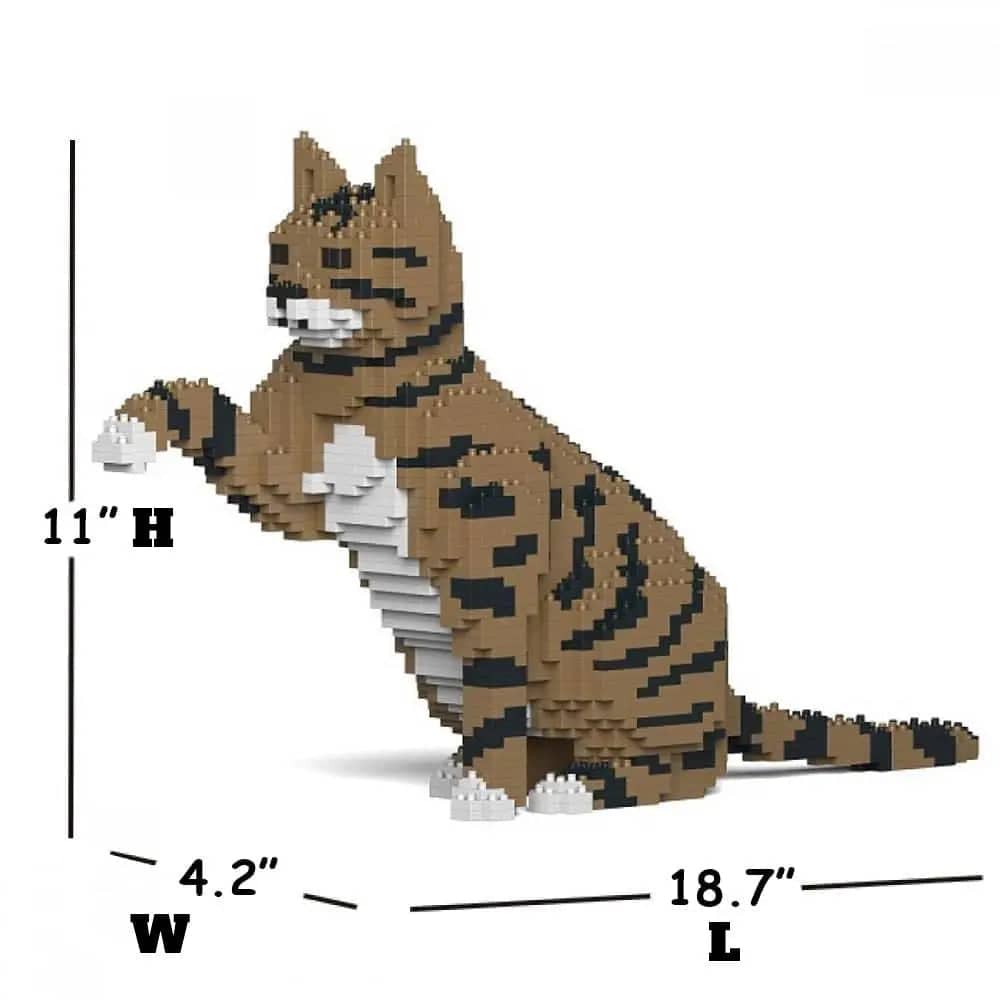 Tabby Cat
