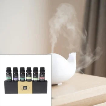 Terapeutisk kvalitet 100% ren æterisk olie sæt med 6