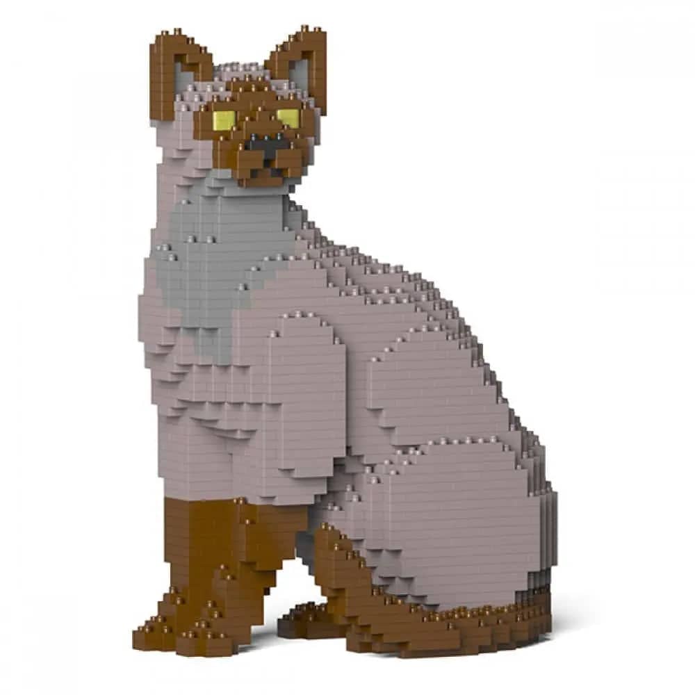 Tonkinese Cat