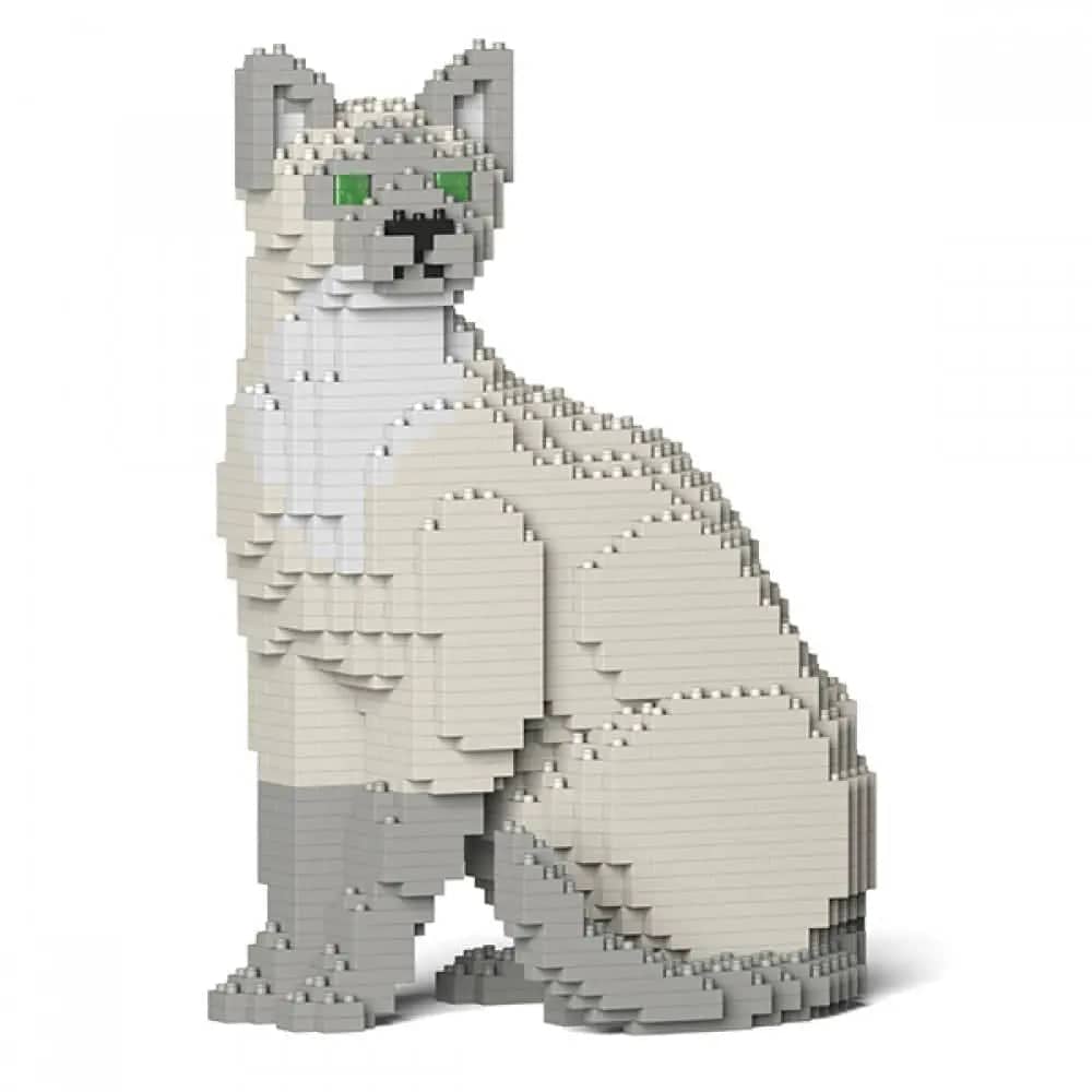 Tonkinese Cat