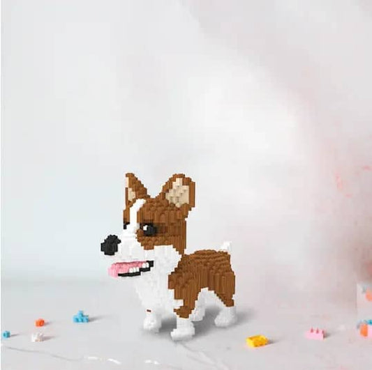 Welsh Corgi