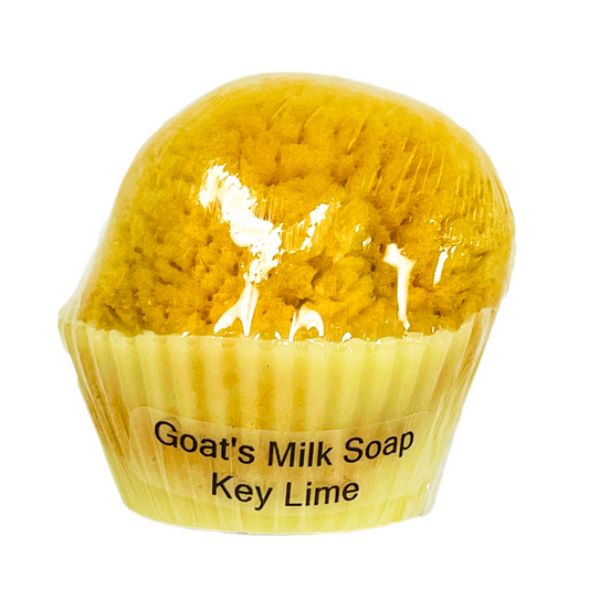 Goat's Milk Cupcake Soap w/ Embedded Sea Sponge-Key Lime