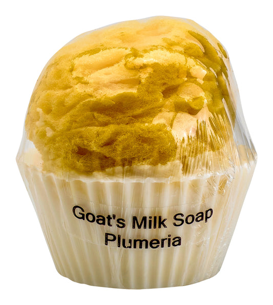 Goat's Milk Cupcake Soap w/ Embedded Sea Sponge-Plumeria