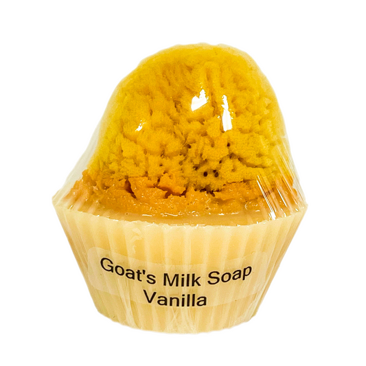 Goat's Milk Cupcake Soap w/ Embedded Sea Sponge-Vanilla