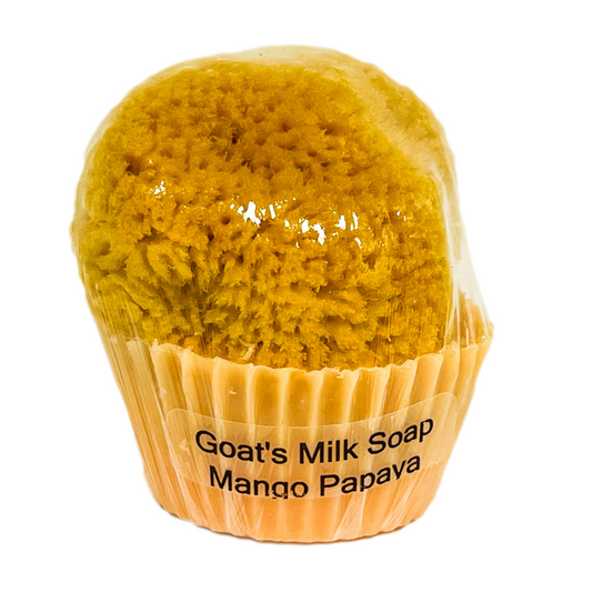 Goat's Milk Cupcake Soap w/ Embedded Sea Sponge-Mango Papaya