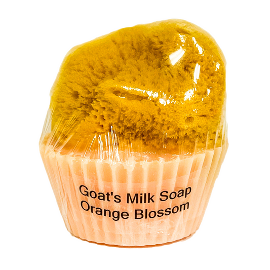 Goat's Milk Cupcake Soap w/ Embedded Sea Sponge-Orange Blossom