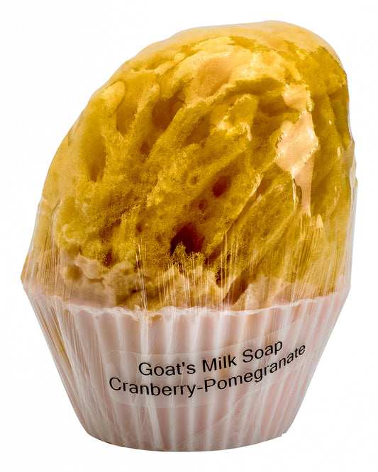 Goat's Milk Cupcake Soap w/ Embedded Sea Sponge-Cranberry Pomegranate