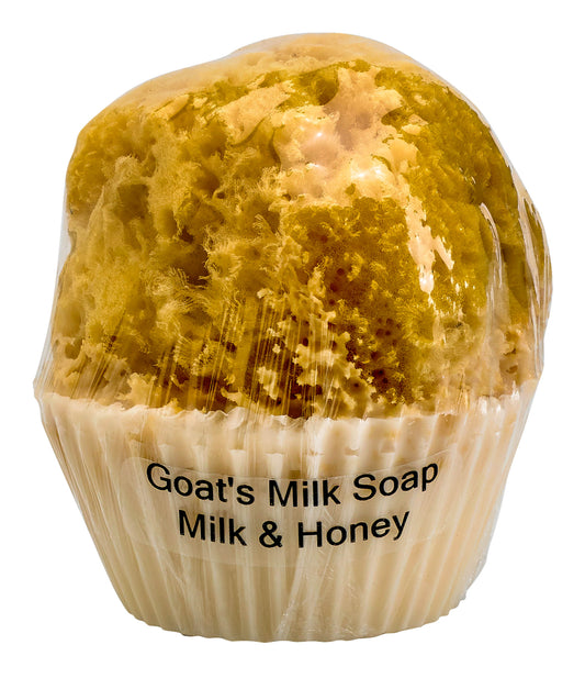 Goat's Milk Cupcake Soap w/ Embedded Sea Sponge-Milk & Honey
