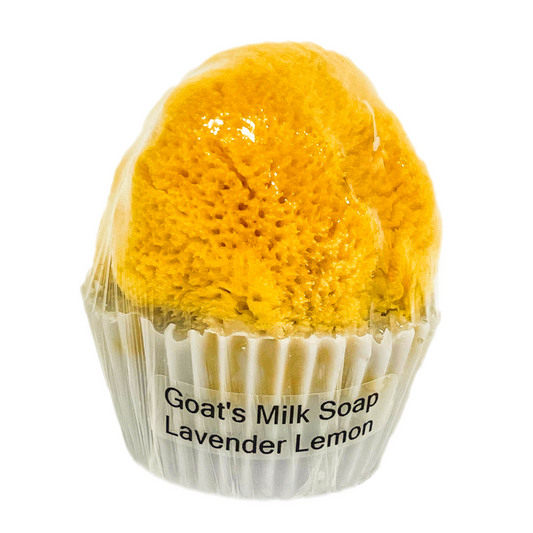 Goat's Milk Cupcake Soap w/ Embedded Sea Sponge-Lavender Lemon