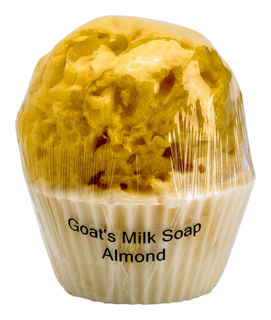 Goat's Milk Cupcake Soap w/ Embedded Sea Sponge-Almond