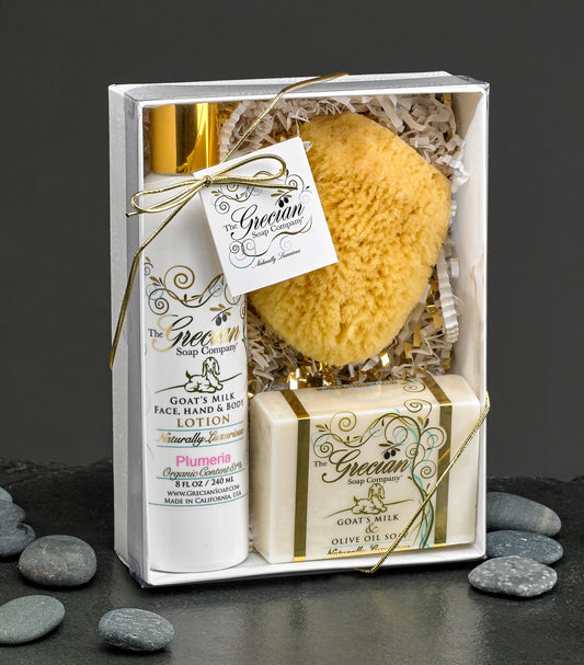 Lotion, Soap and Sponge Gift Box-Island Citrus
