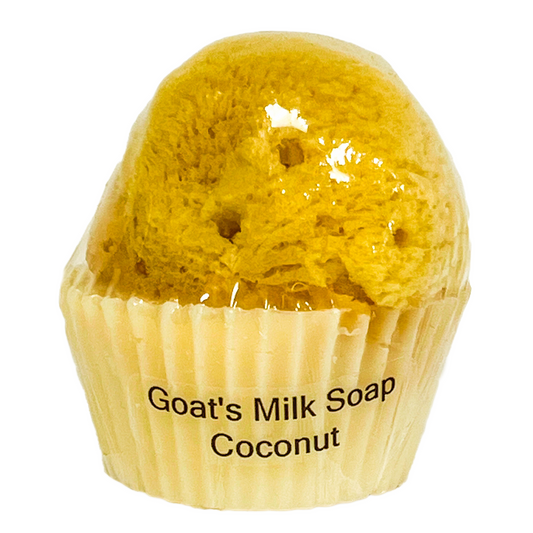 Goat's Milk Cupcake Soap w/ Embedded Sea Sponge-Coconut