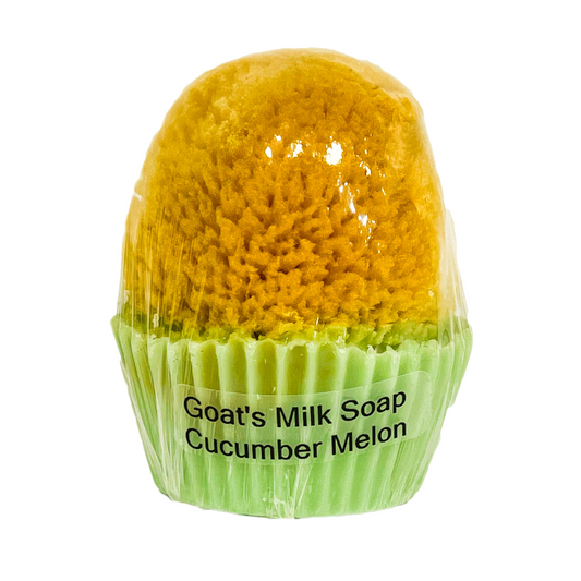 Goat's Milk Cupcake Soap w/ Embedded Sea Sponge-Cucumber Melon