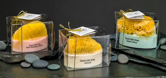 Goat's Milk Soap w/ Embedded Sea Sponge-Lavender Lemon